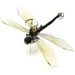 DIY, crafters, crafting, Steampunk, insects, art